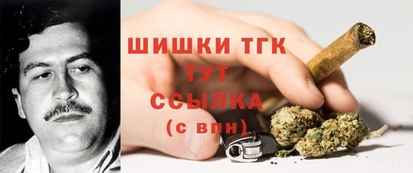 гидра Кулебаки