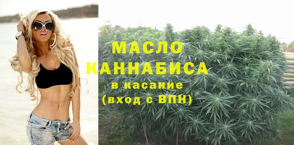 гидра Кулебаки