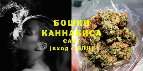 гидра Кулебаки