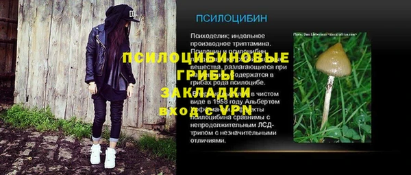 гидра Кулебаки