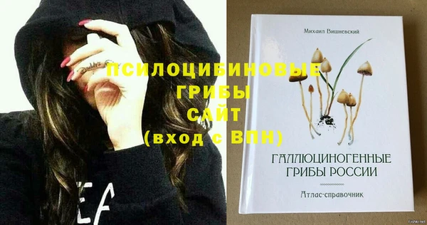 гидропоника Куйбышев