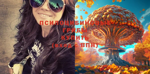 гидропоника Куйбышев