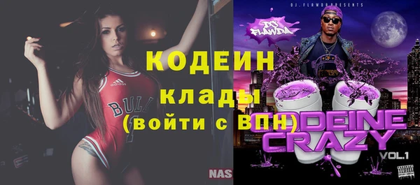 гидра Кулебаки