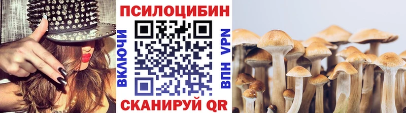 omg сайт Брюховецкая Псилоцибиновые грибы Magic Shrooms цены наркотик